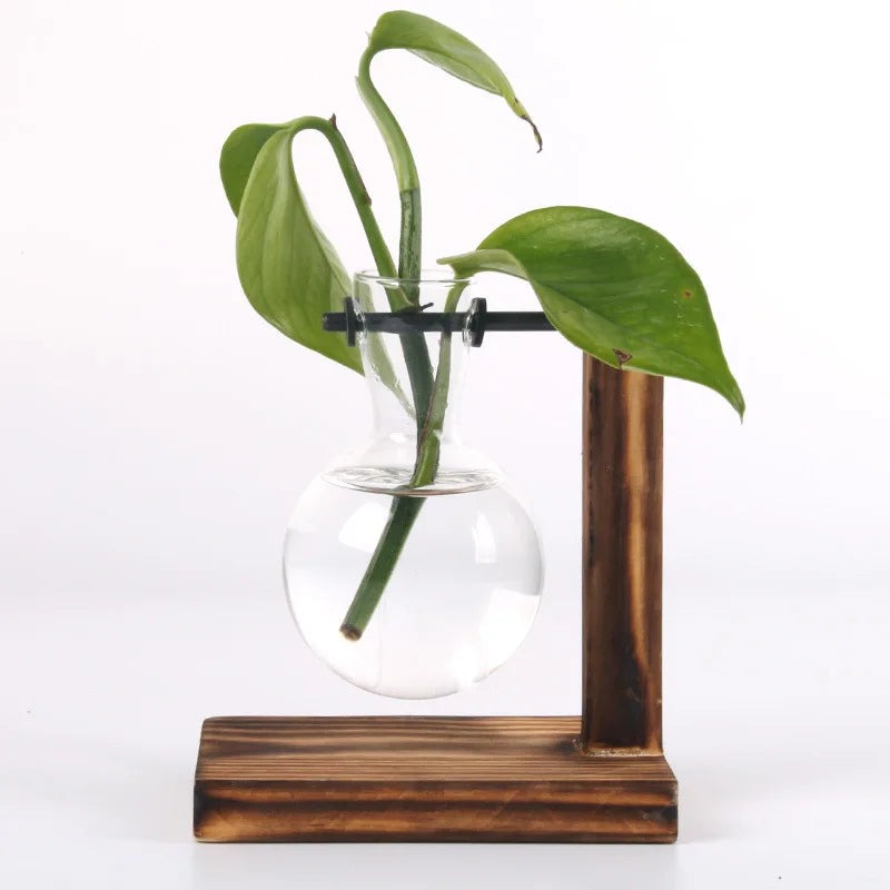 Hydroponic Desk Plant Terrarium