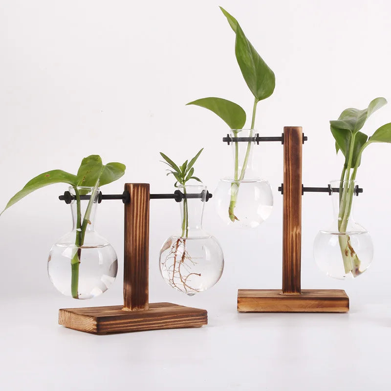 Hydroponic Desk Plant Terrarium