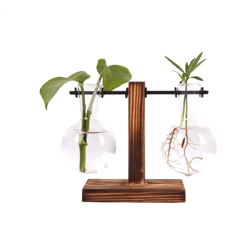 Hydroponic Desk Plant Terrarium